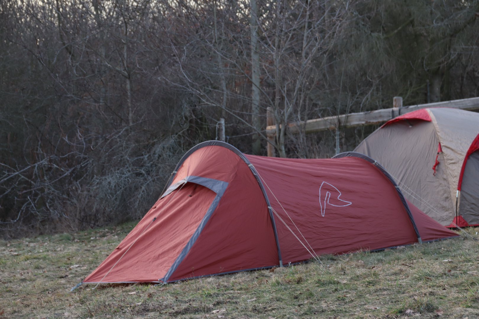 Tent Tuesday!🏕️